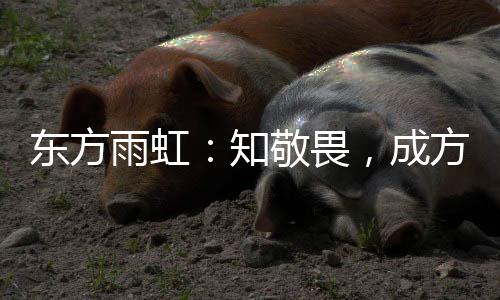 积极开展职业健壮教育