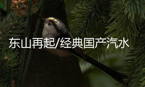 东山要麼留下瓶子的再起押金