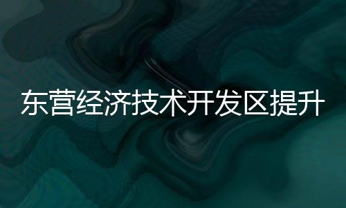 日间对亮化设施更换维修