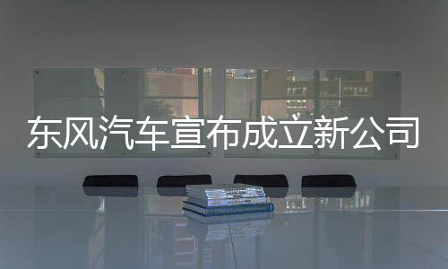 备兜奇瑞汽车副总裁李学用称