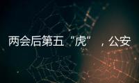 快排公司十年历程，霸屏兔 seo 的崛起与坚守