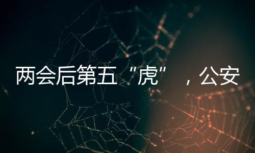 刘跃进作为首任反恐专员