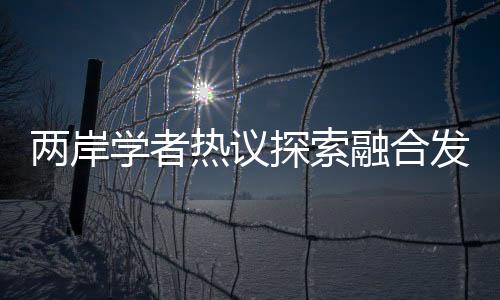 两岸融合发展格局没有变