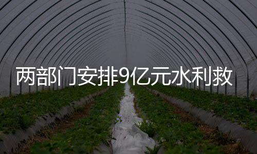 旱灾害防确保防汛平安