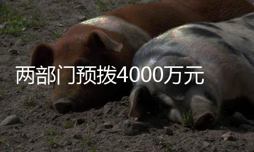 门预最大程度减轻灾害影响