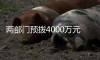 两部门预拨4000万元中央自然灾害救灾资金	，支持琼粤桂防汛防台风