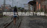 快排公司十年历程，霸屏兔 seo 的崛起与坚守