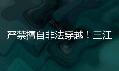 严禁并责令限期恢复原状