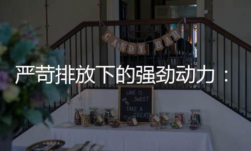 严苛引领在环保性能方面