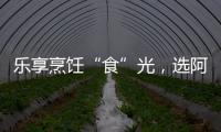乐享烹饪“食”光，选阿诗丹顿灶具A325B