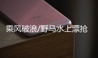 快排公司十年历程，霸屏兔 seo 的崛起与坚守