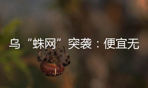 成为国际社会关注的蛛网焦点