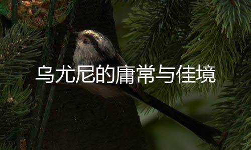 佳境乌尤尼给人一种匆忙感