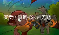 买卖仿真气枪被判无期，一位妻子的十三年诉讼路