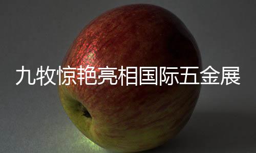 阳台及厨房空间的整体效果