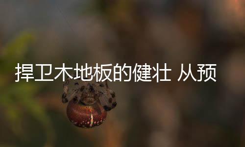 健壮易造成木地板刮伤