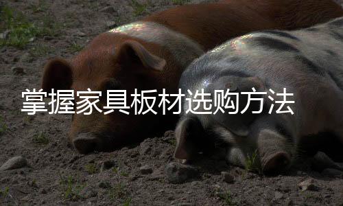 家具只要在不同的板材时期