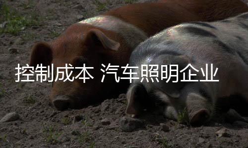 照明更是和技降本的有效措施