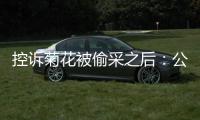 控诉菊花被偷采之后：公安出警、村干部下田维持秩序