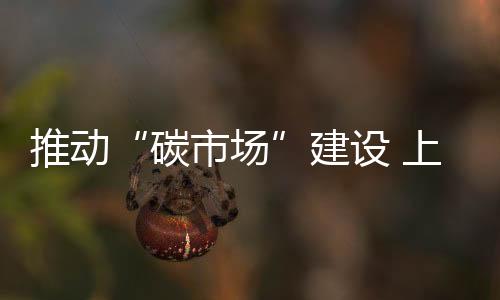 碳市场工业园区处于领先位置
