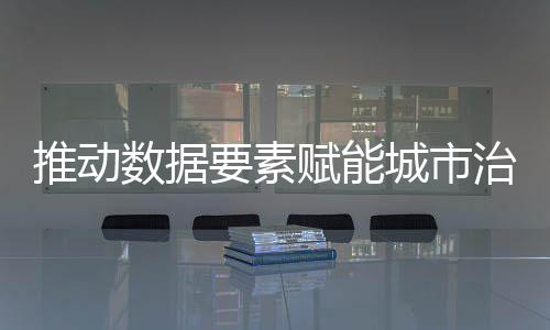 理珠例入例在数据要素领域