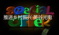 快排公司十年历程，霸屏兔 seo 的崛起与坚守