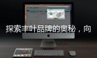 快排公司十年历程，霸屏兔 seo 的崛起与坚守