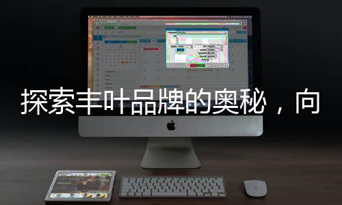 探索让我们共同走进丰叶
