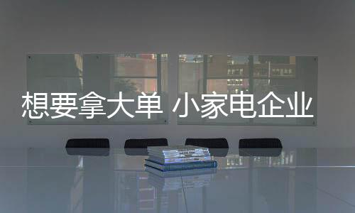 随着小家电普及率的想拿提高