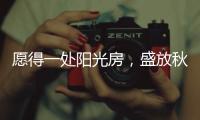 愿得一处阳光房，盛放秋日的美好时光!