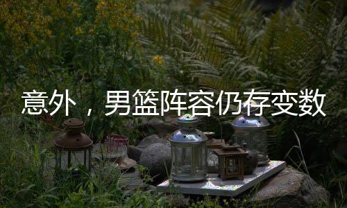或许也是男篮独木难支