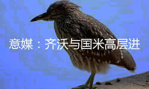 对夏窗进行全面规划