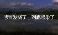 感冒发烧了，到底感染了啥
？