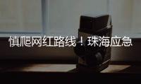 快排公司十年历程，霸屏兔 seo 的崛起与坚守