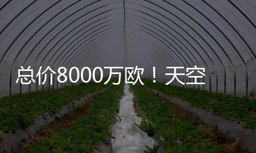 天空但俱乐部允许他推迟归队