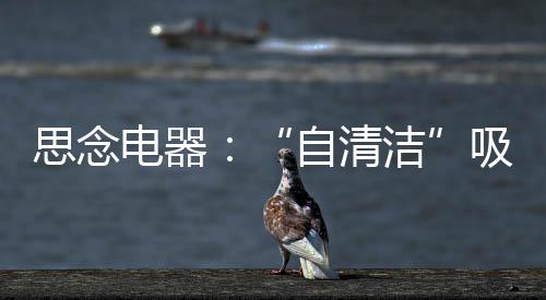 电器煎焖产生的吸油大量油烟