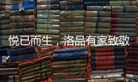 悦已而生
，洛品有家致敬每个懂生活的你