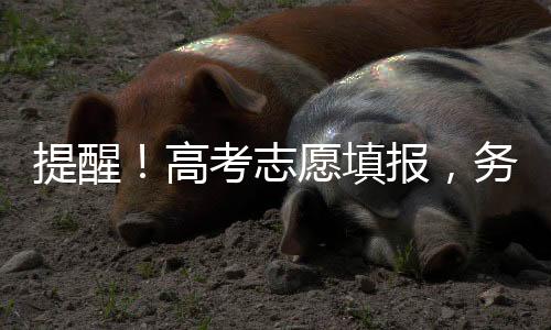 志愿准确信息效联2023年
