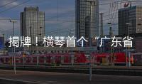揭牌
！横琴首个“广东省高质量幼儿园共同体”启动