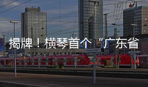 高质量完成项目验收