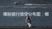 揭秘银行信贷分布图	：哪里投放最多
，哪里不良最高	？