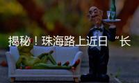 揭秘！珠海路上近日“长”出的红色小锥锥有什么用	？