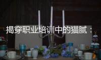 揭穿职业培训中的猫腻�：靠训吃训肆意敛财