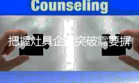 把握灶具企业突破需要摒弃山寨，勇于创新