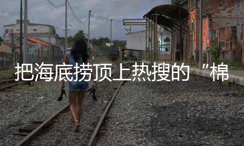 热搜棉花娃娃在饭圈广泛流行