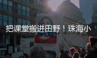 把课堂搬进田野！珠海小学生耕读园里割麦子