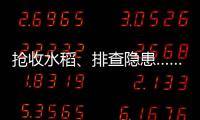 抢收水稻、排查隐患……台风登陆后 浙江各地抢险救灾进行时