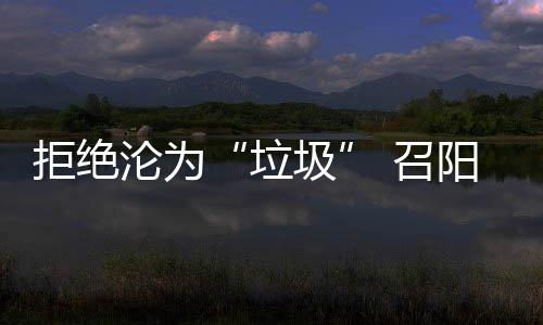 召阳之道智能调整电路