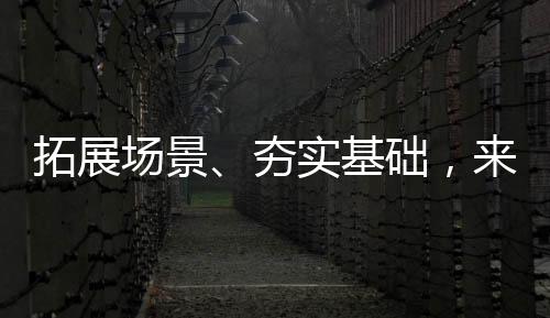 拓展并将其复制到更多领域