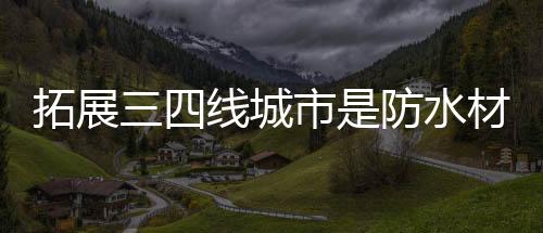卖场租金等运营成本不断增添